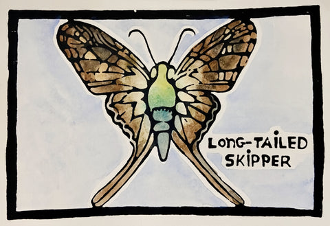Butterfly Series - Long Tailed Skipper