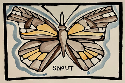 Butterfly Series - Snout