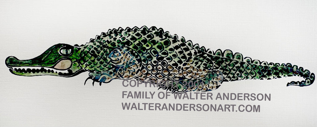 Alligator – Realizations: The Walter Anderson Shop