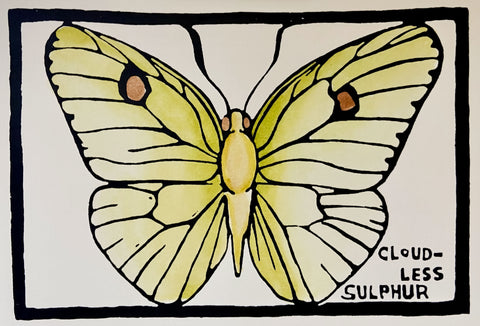 Butterfly Series - Cloudless Sulphur