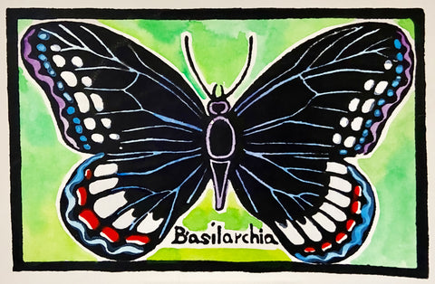 Butterfly Series - Basilarchia