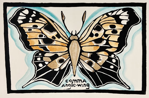 Butterfly Series - Comma Angle Wing
