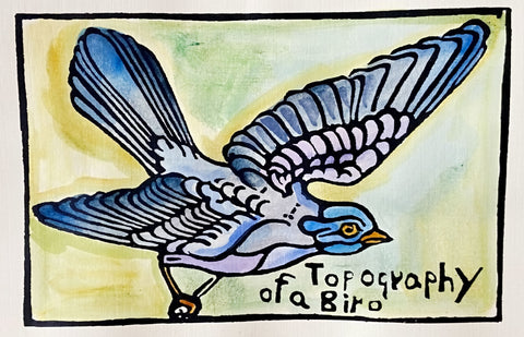 Topography of a Bird