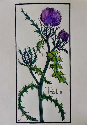 Thistle